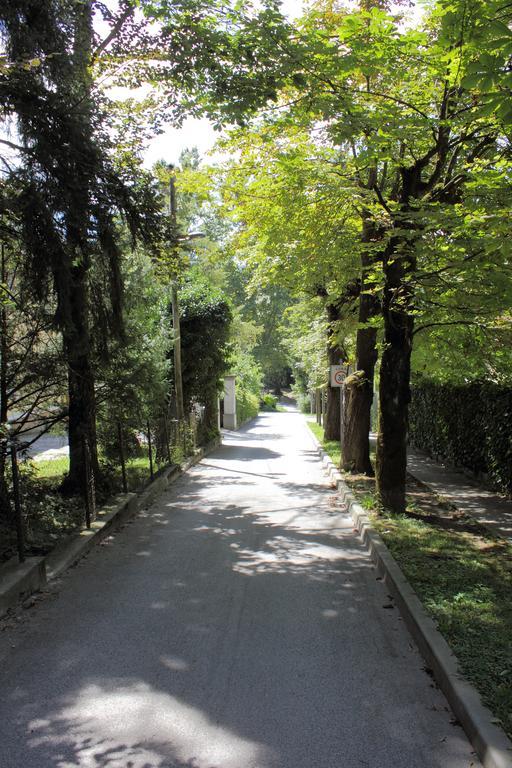 Apartment Villa Vltava Bled Zewnętrze zdjęcie