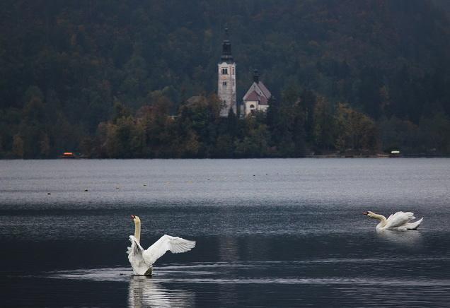 Apartment Villa Vltava Bled Zewnętrze zdjęcie