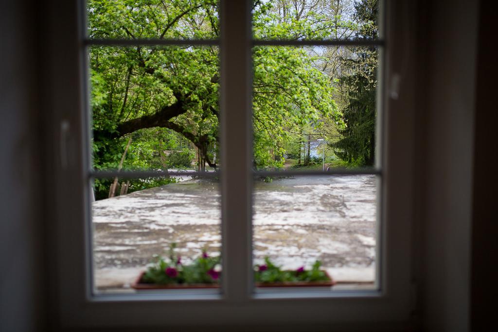 Apartment Villa Vltava Bled Zewnętrze zdjęcie